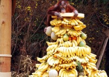 В Папуа-Новой Гвинее действует секта, которая обещает горы бананов за секс на людях
