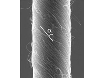 Волокно, полученное учеными