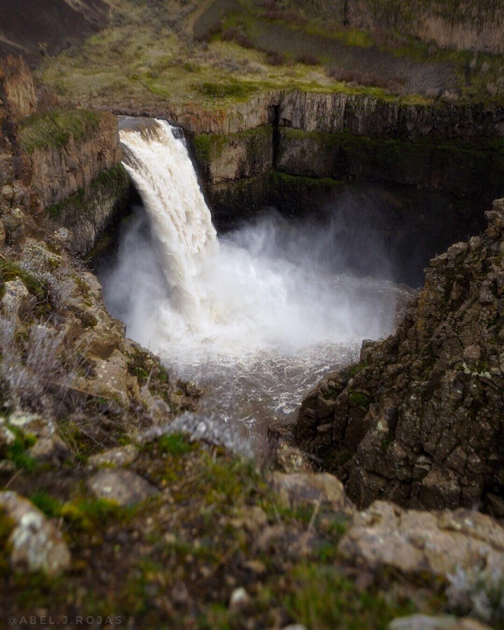 Красота природы на фотографиях