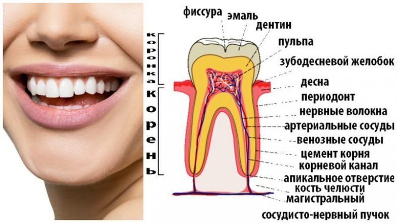 10 привычных вещей под микроскопом