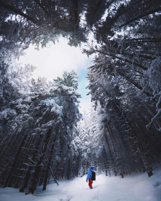 Красота Карпат с высоты птичьего полета. Фото