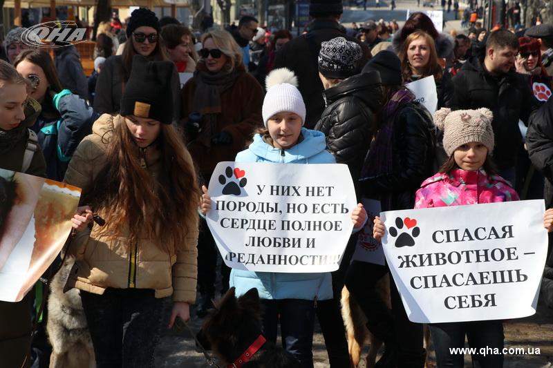 В Одессе прошел марш спасенных собак