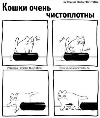 Жизнь владельцев котов в веселых комиксах
