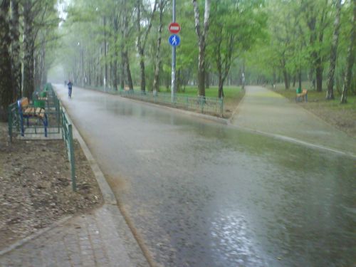 Ноябрь в Украине начинается с дождей 