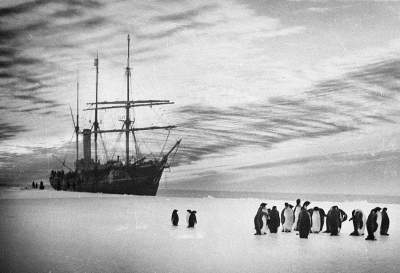Антарктида начала прошлого века в уникальных снимках. Фото
