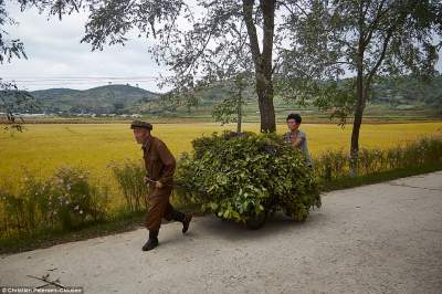 Как живется зажиточным людям в Северной Корее. Фото