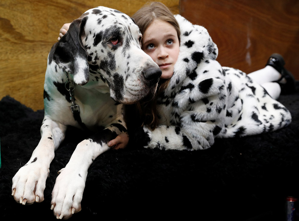 Crufts Dog Show 2018: крупнейшая в Европе выставка собак