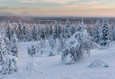 Стеклянная хижина посреди Лапландии. Фото