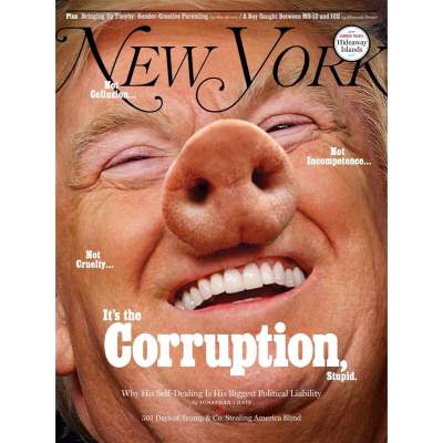 Трамп с пятачком вместо носа: мир смеется над обложкой журнала