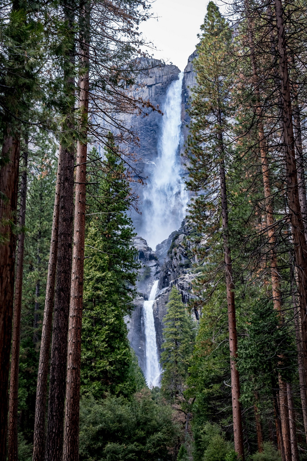 Красота природы на фотографиях