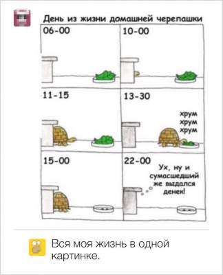 Самые забавные комментарии с просторов Интернета 