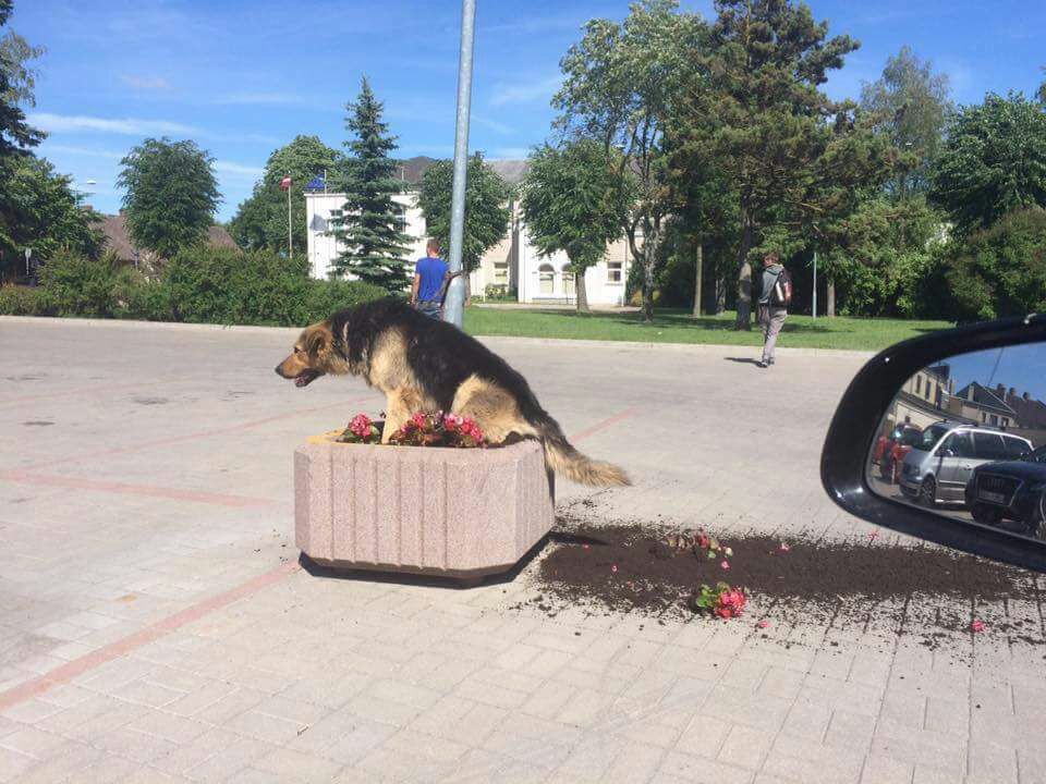 Неприятности случаются