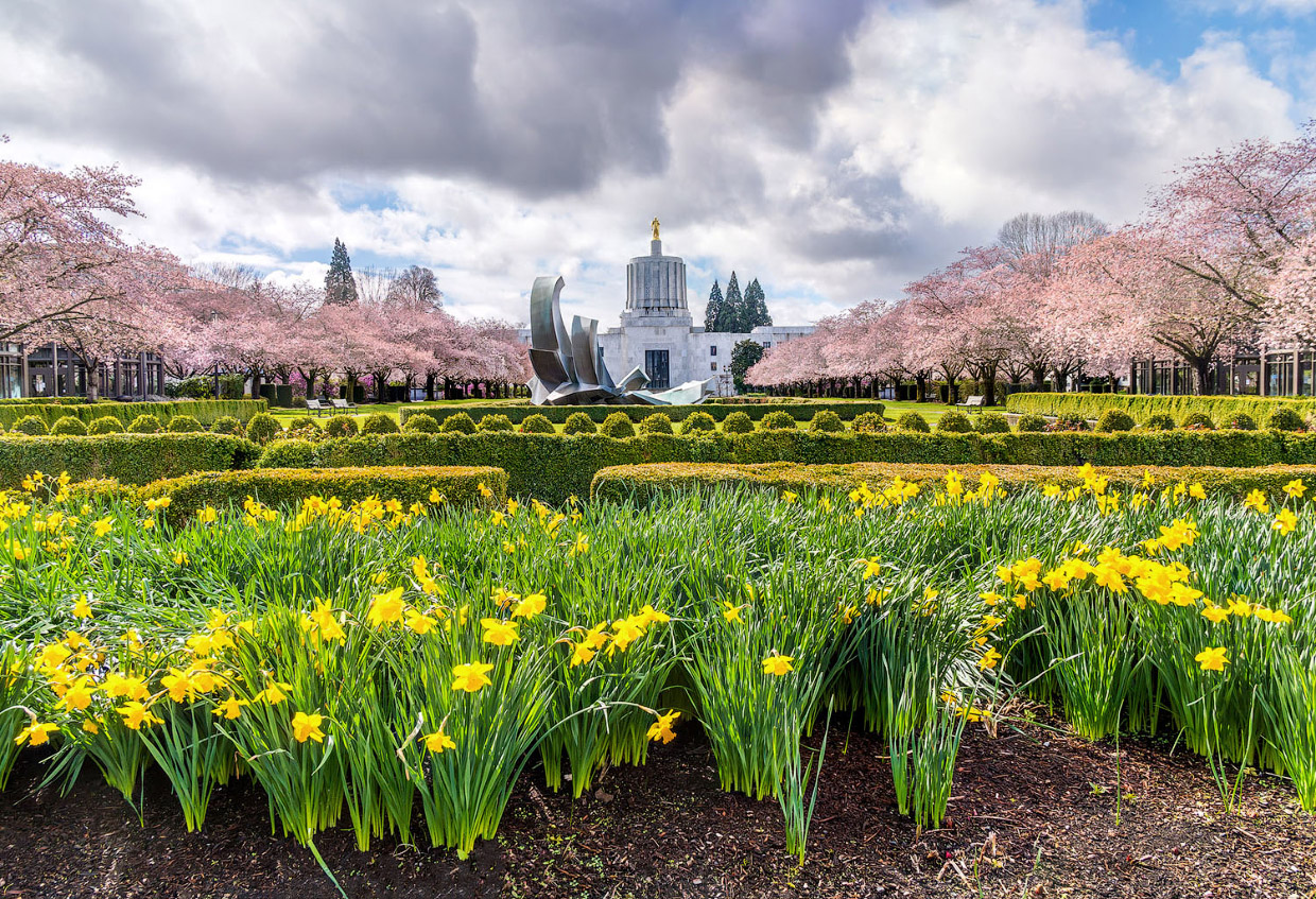 Красоты весны 2018 в фотографиях