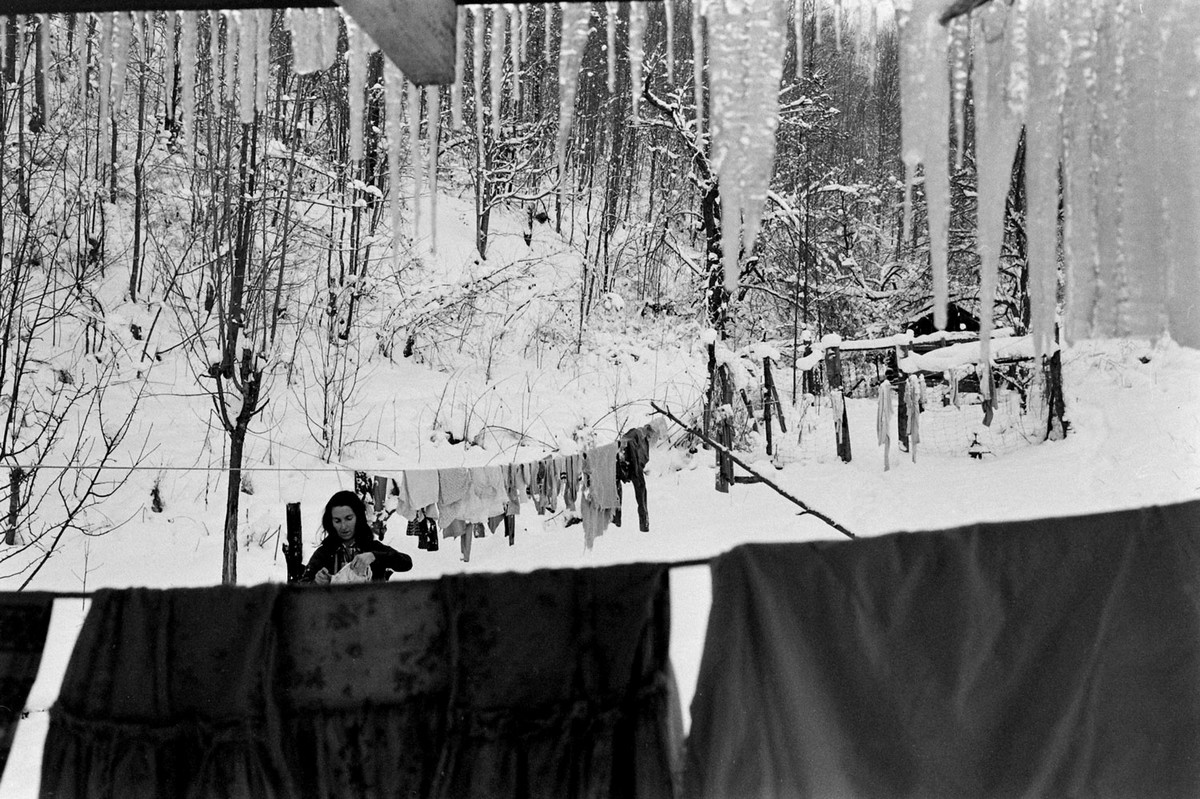 Штат Кентукки 1960-х годов в фотопроекте Долина бедности