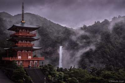 Фотограф показал Японию в сезон дождей. Фото
