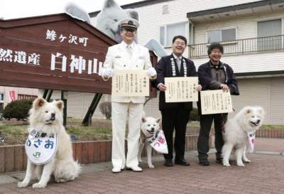 В Японии начальником железнодорожного вокзала стала собака