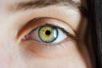 Учёные узнали, как остановить слепоту
