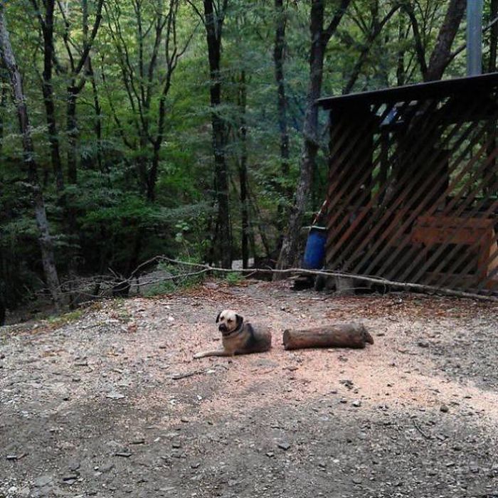 Внезапные оптические иллюзии на фото