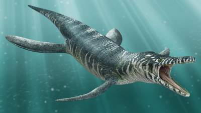 Морские чудовища, обитавшие в доисторические времена. Фото