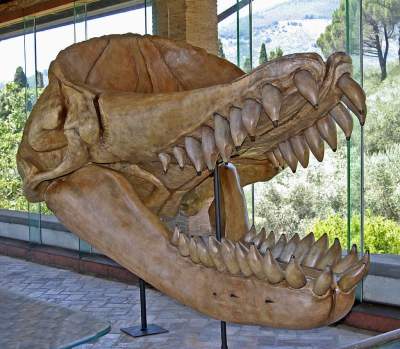 Морские чудовища, обитавшие в доисторические времена. Фото