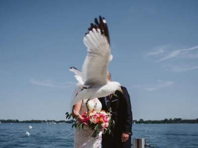 Забавные свадебные снимки, которые вас развеселят