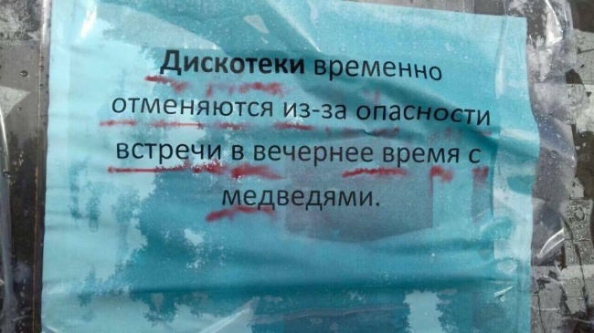 25 уличных надписей, которые вызывают сожаление, что их написал не ты. ФОТО