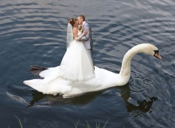 Сеть смеется над самыми нелепыми фото со свадеб в РФ