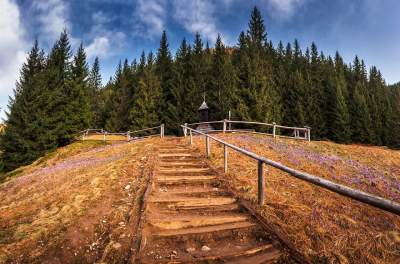 Фотограф показал, как прекрасна весна в польских горах. Фото