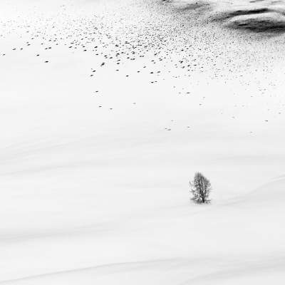 Черно-белые ландшафты в пейзажах итальянского фотографа. Фото