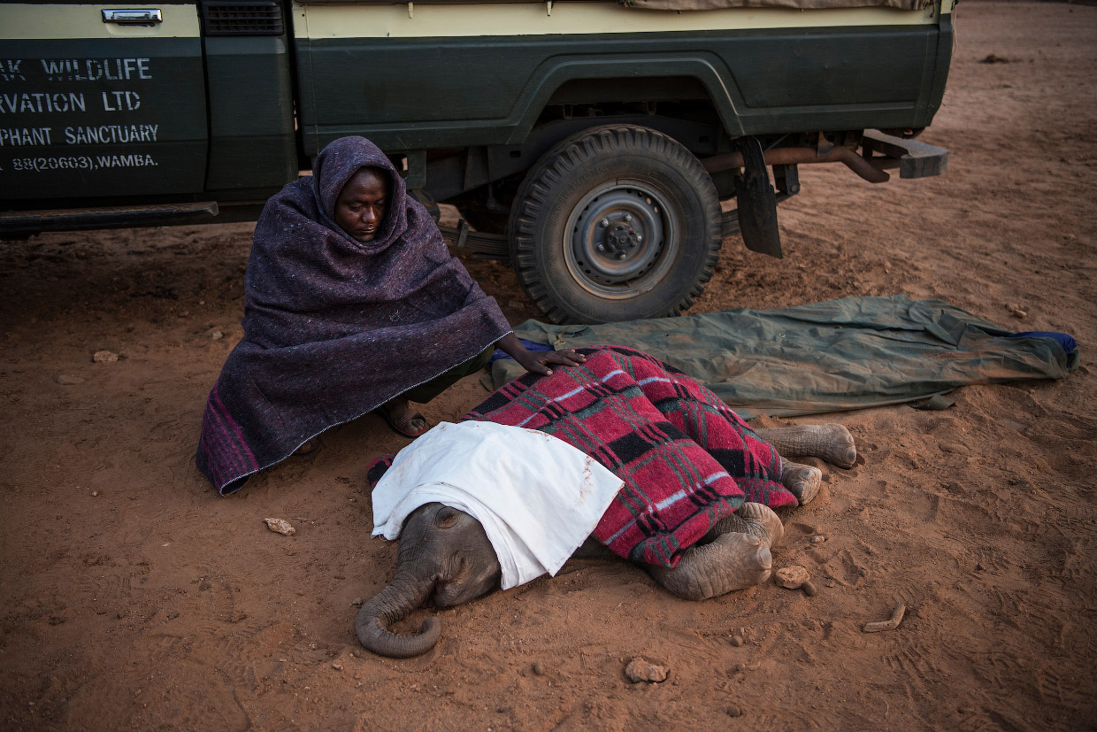 Победители конкурса фоторепортеров World Press Photo 2018