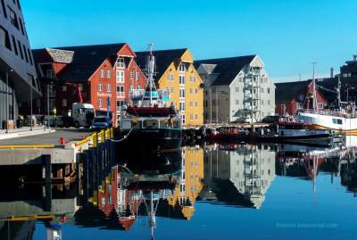Этот цветущий норвежский город находится за полярным кругом. Фото