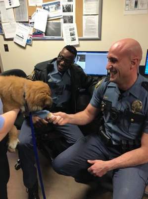 Собака-терапевт из полицейского участка покорила мир