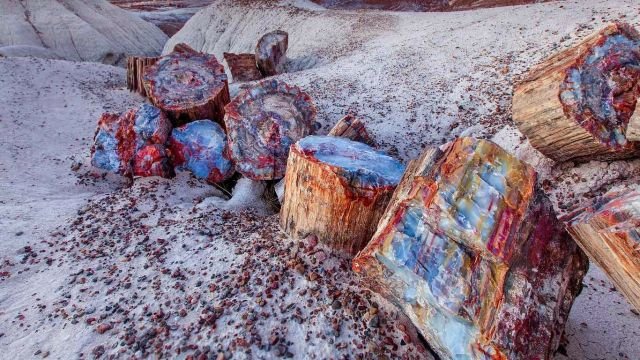 Кристаллы в древних бревнах