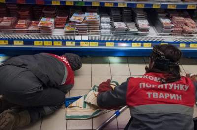 Кот устроил переполох в мясном отделе киевского супермаркета