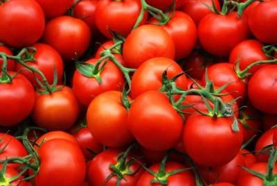 Названы главные полезные качества помидоров