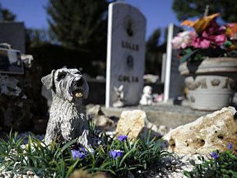 Нью-йоркцев разрешили хоронить на кладбищах домашних животных