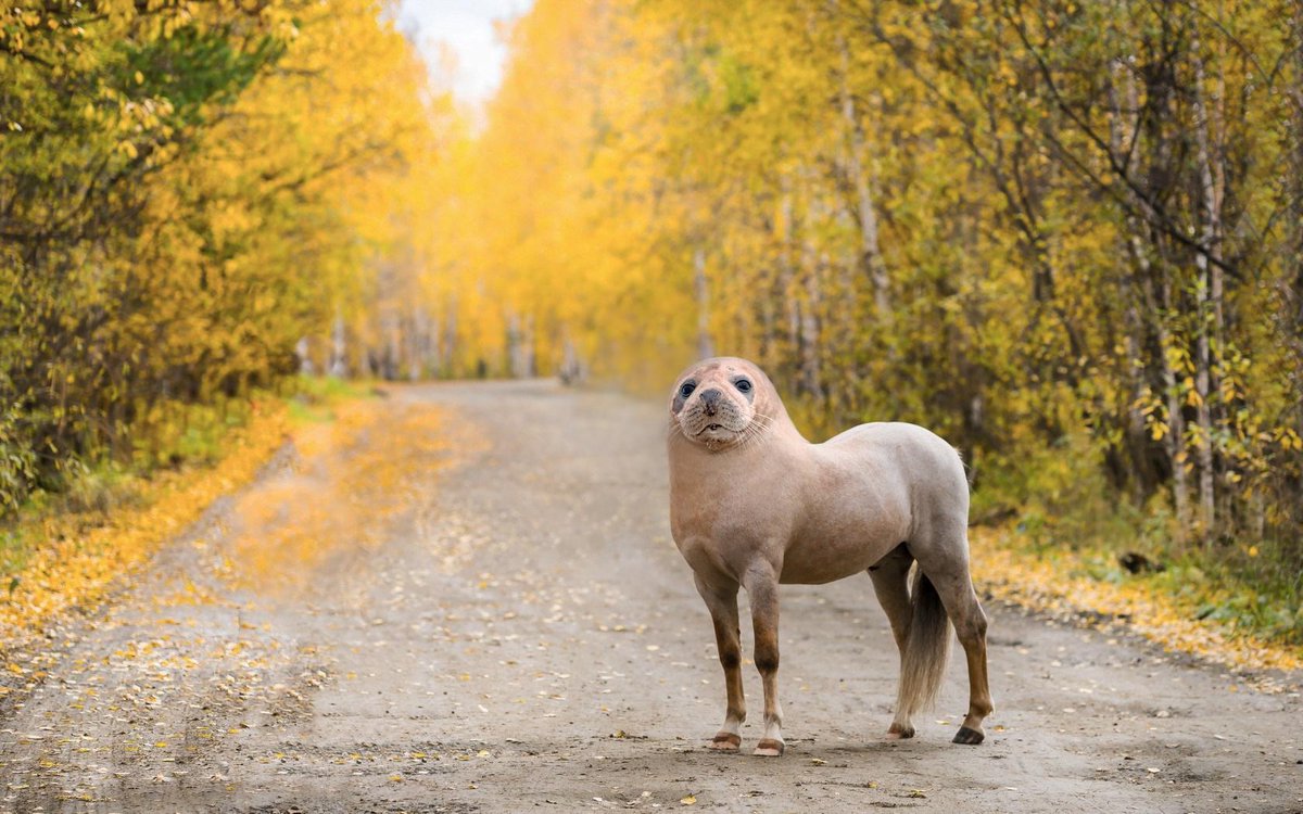 20 людей, которым нужно просто запретить пользоваться Photoshop! ФОТО