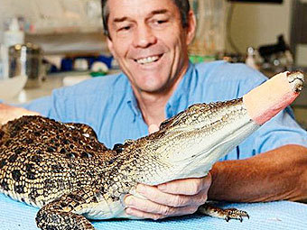 Австралийские ветеринары помогли самке крокодила по кличке Пушистая