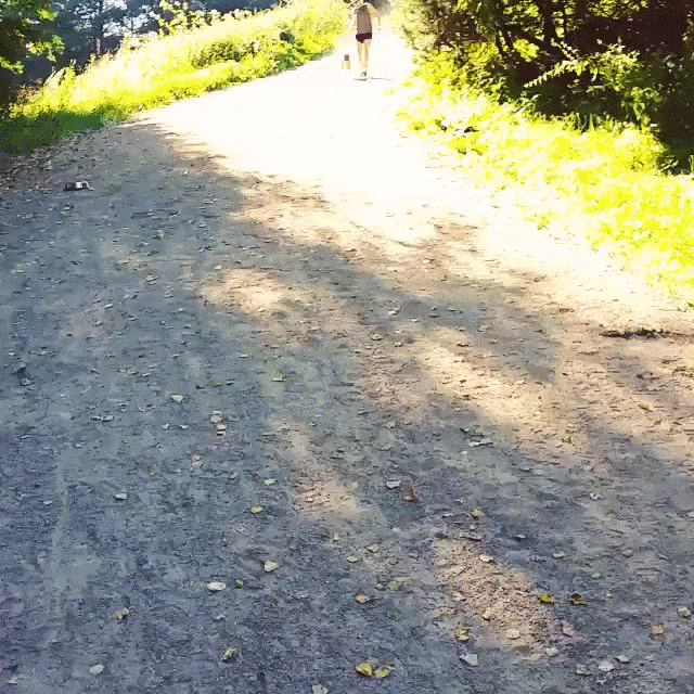 Собаки, слишком уставшие быть хорошими мальчиками. ФОТО