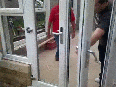 Собаки, слишком уставшие быть хорошими мальчиками. ФОТО