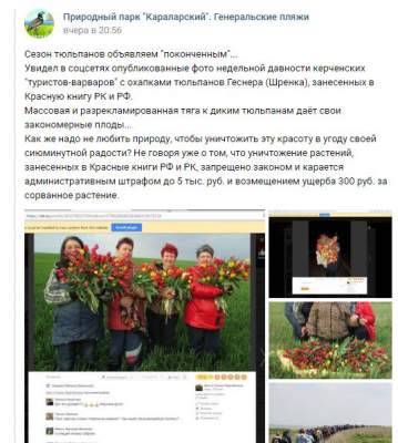 Украли на краденной земле: в Сети высмеяли фото россиянок в Крыму