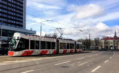 Как устроен общественный транспорт в столице Эстонии. Фото