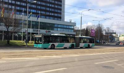 Как устроен общественный транспорт в столице Эстонии. Фото