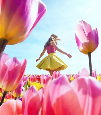 Тюльпанные поля Голландии в ярких снимках. Фото