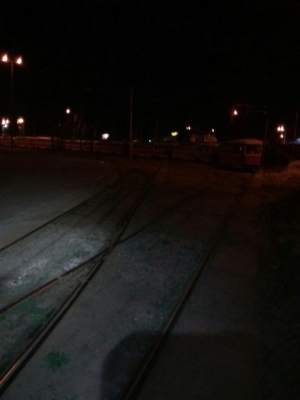 Лиса устроила переполох в киевском трамвайном депо