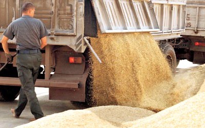 В Украине снова могут ограничить экспорт зерна