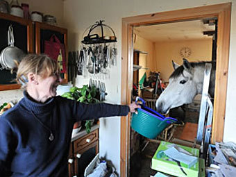 Шотландская пенсионерка поселила у себя дома лошадь