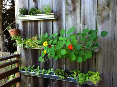 Крутые идеи для маленького сада. Фото