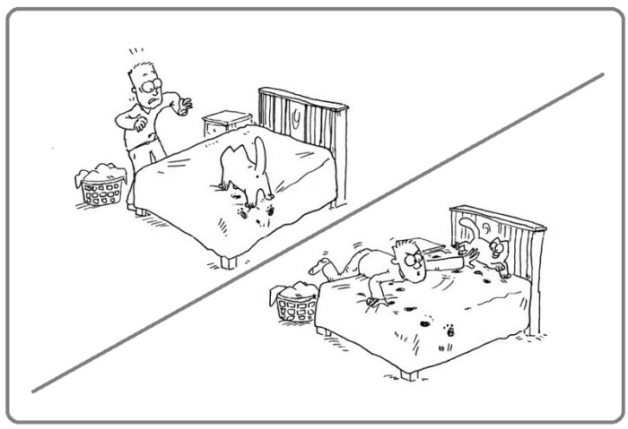 Кот Саймона в забавных комиксах
