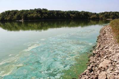 Эти реки считаются самыми грязными в мире. Фото